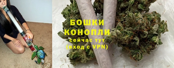 стафф Каменка